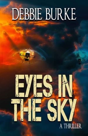 [Tawny Lindholm 03] • Eyes in the Sky